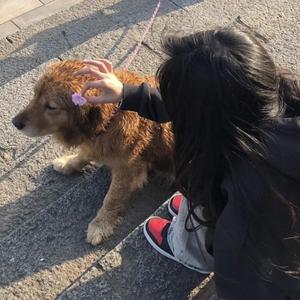 男女床上啪啪啪视频免费观看
